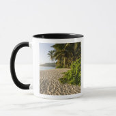 Mug Seychelles, île de Mahe, Anse Marie-Louise (Gauche)