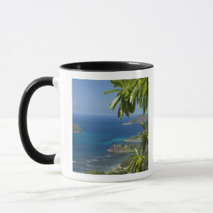 Mug Seychelles, île de Mahe. Côte ouest de