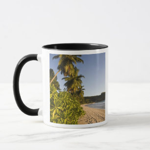 Mug Seychelles, île de Mahe, plage d'Anse Takamaka,