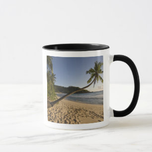 Mug Seychelles, île de Mahe, plage d'Anse Takamaka,