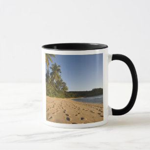 Mug Seychelles, île de Mahe, plage d'Anse Takamaka, 2