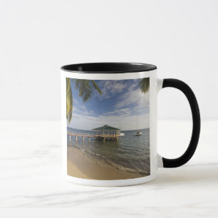 Mug Seychelles, île de Praslin, Anse Bois de Rose,