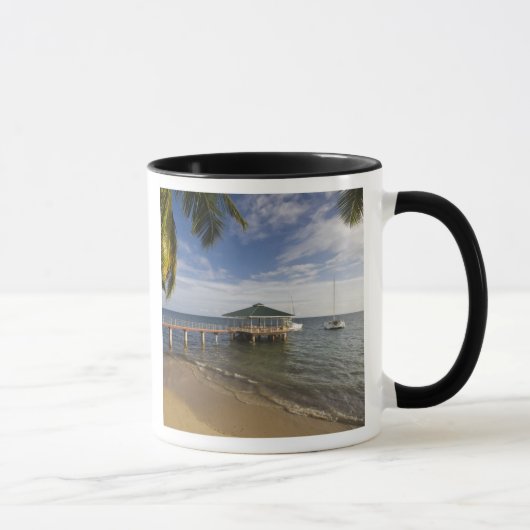 Mug Seychelles, île de Praslin, Anse Bois de Rose, (Droite)