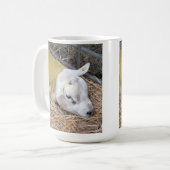 MUG SHEEP (Devant gauche)