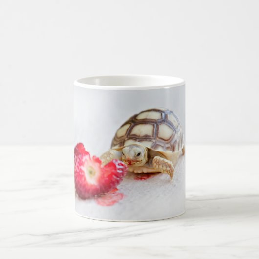 Mug Sheldon la tortue (Centre)