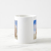 Mug Shell étayé dans le sable (Centre)
