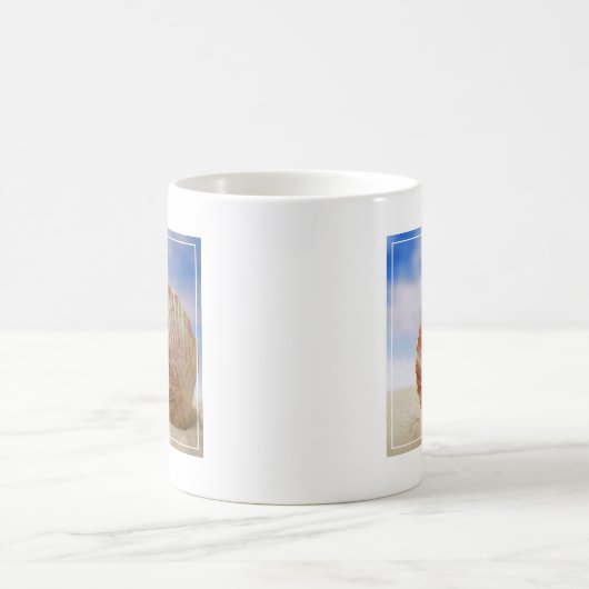 Mug Shell étayé dans le sable (Centre)