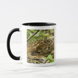 Mug Shenandoah NP, la Virginie, Etats-Unis