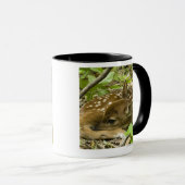 Mug Shenandoah NP, la Virginie, Etats-Unis (Devant droit)