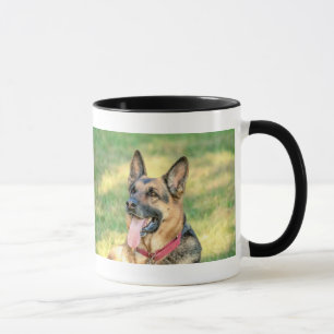 Mug Shepard allemand