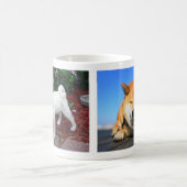 Mug Shiba-inu Maru (Centre)