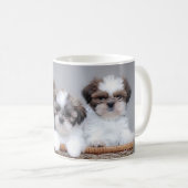 Mug Shih Tzu puppies (Devant droit)
