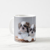 Mug Shih Tzu puppies (Devant gauche)