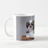 Mug Shih Tzu puppies (Gauche)