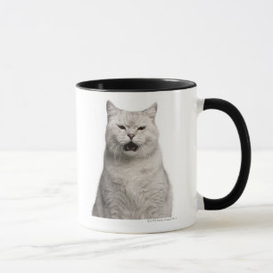 Mug Shorthair britannique (4 années)