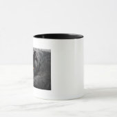 Mug Shorthair Kitty (Centre)