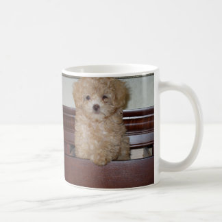 Mug Si mignon !