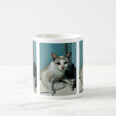 Mug Siamese Chat Friend (Centre)