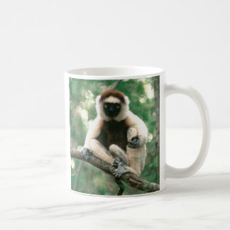 Mug Sifaka