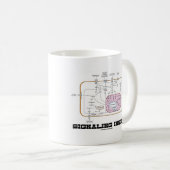 Mug Signalisation à l'intérieur (voies de transduction (Devant droit)