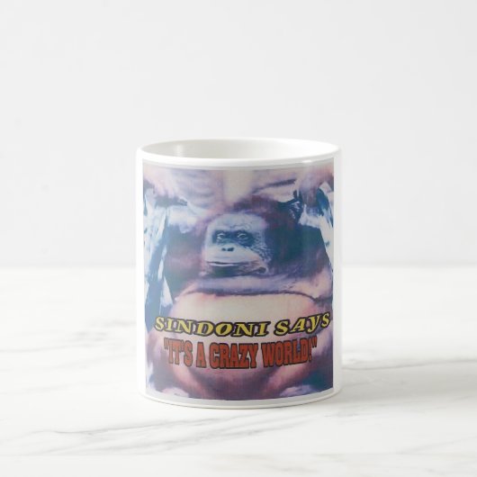 Mug Sindoni dit que c'est un monde fou (Centre)