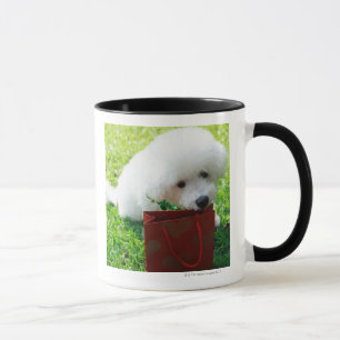 Mug Singapour 7