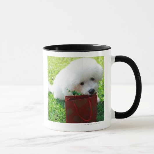 Mug Singapour 7 (Droite)