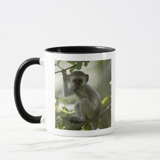 Mug Singe de Vervet, Zimbabwe (Gauche)