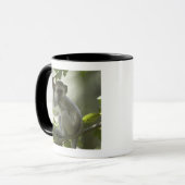Mug Singe de Vervet, Zimbabwe (Devant gauche)