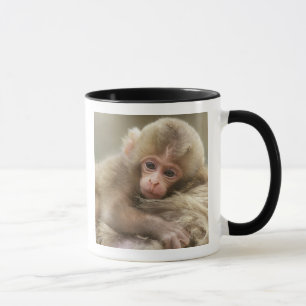 Mug Singe des neiges, Jigokudani, Nagano, Japon 2