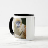 Mug Singe d'or (Devant gauche)