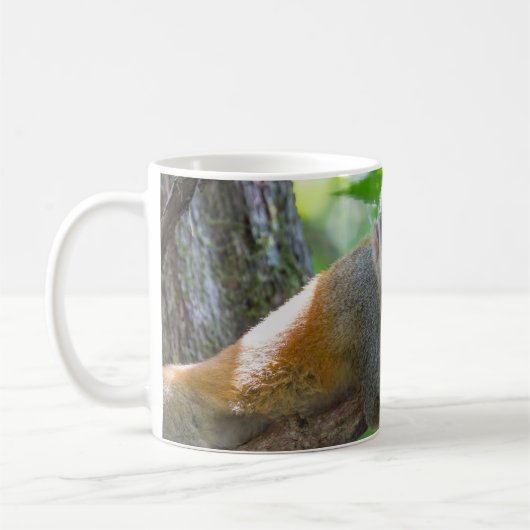 Mug Singe écureuil à Manuel Antonio NP - Costa Rica (Gauche)