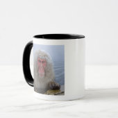 Mug Singe japonais de neige dans le hotspring (Devant gauche)