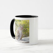 Mug Singes de Macaque de rhésus de mère et de bébé sur (Devant gauche)