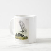Mug Skunk à capuchon ou Skunk à grande queue d'Audubon (Devant gauche)