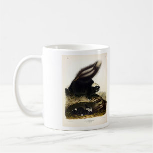 Mug Skunk américaine commune ou Striped Skunk, par Aud