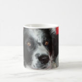 Mug Skye border collie (Centre)