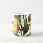 Mug slipper de dame (Cypripedium sp.) par Redouté (Centre)