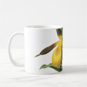 Mug slipper de dame (Cypripedium sp.) par Redouté (Gauche)