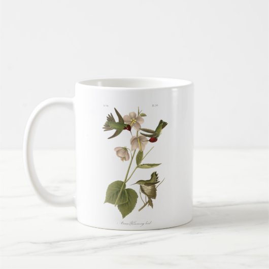 Mug Small Anna Hummingbird (Gauche)