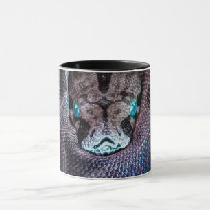 Mug Snake boa anaconda python reptile serpent