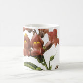 Mug snapdragon(Antirrhinum sp.) par Redouté (Centre)