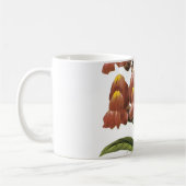 Mug snapdragon(Antirrhinum sp.) par Redouté (Gauche)