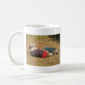 Mug Snoozing à Nong Khai (Gauche)