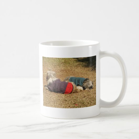 Mug Snoozing à Nong Khai (Droite)