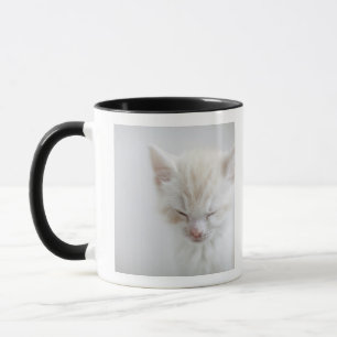 Mug Sommeil blanc de chaton