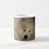 Mug Sommeil Pyr (Centre)