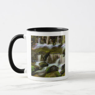 Mug Source aux fougères, Parc national de Yosemite, Ca