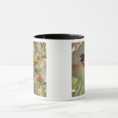 Mug South Padre Island, Texas, USA, Baltimore Oriole (Centre)