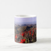 Mug South Rim, Cactus Blossoms, Big Bend National Park (Centre)